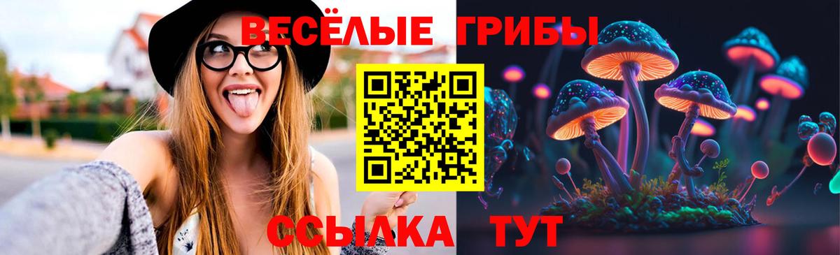 Галлюциногенные грибы мицелий  Вход с VPN  Сатка 